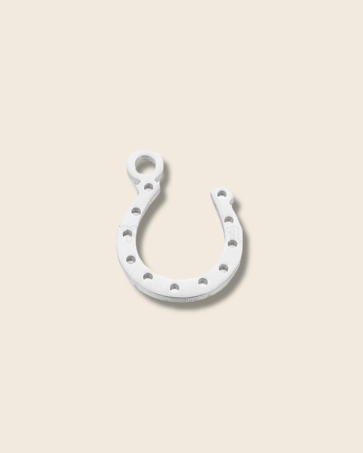 Horseshoe silver charm