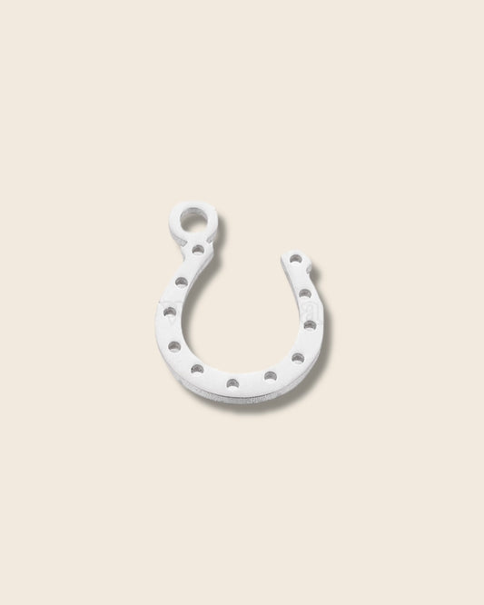 Horseshoe silver charm
