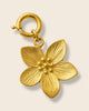 Hibiscus charm