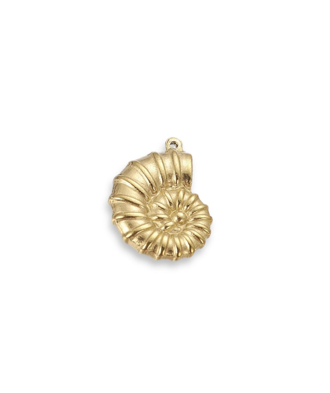 Shell charm