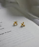 Shooting stars