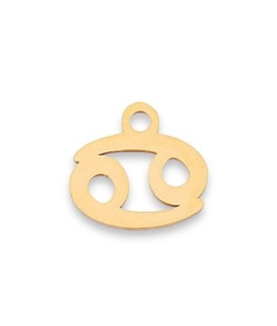 Astrology charm