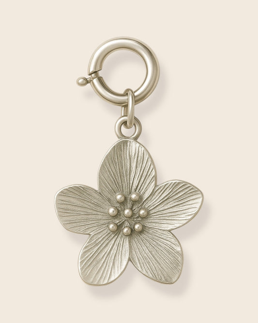 Hibiscus silver charm