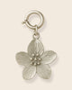 Hibiscus silver charm