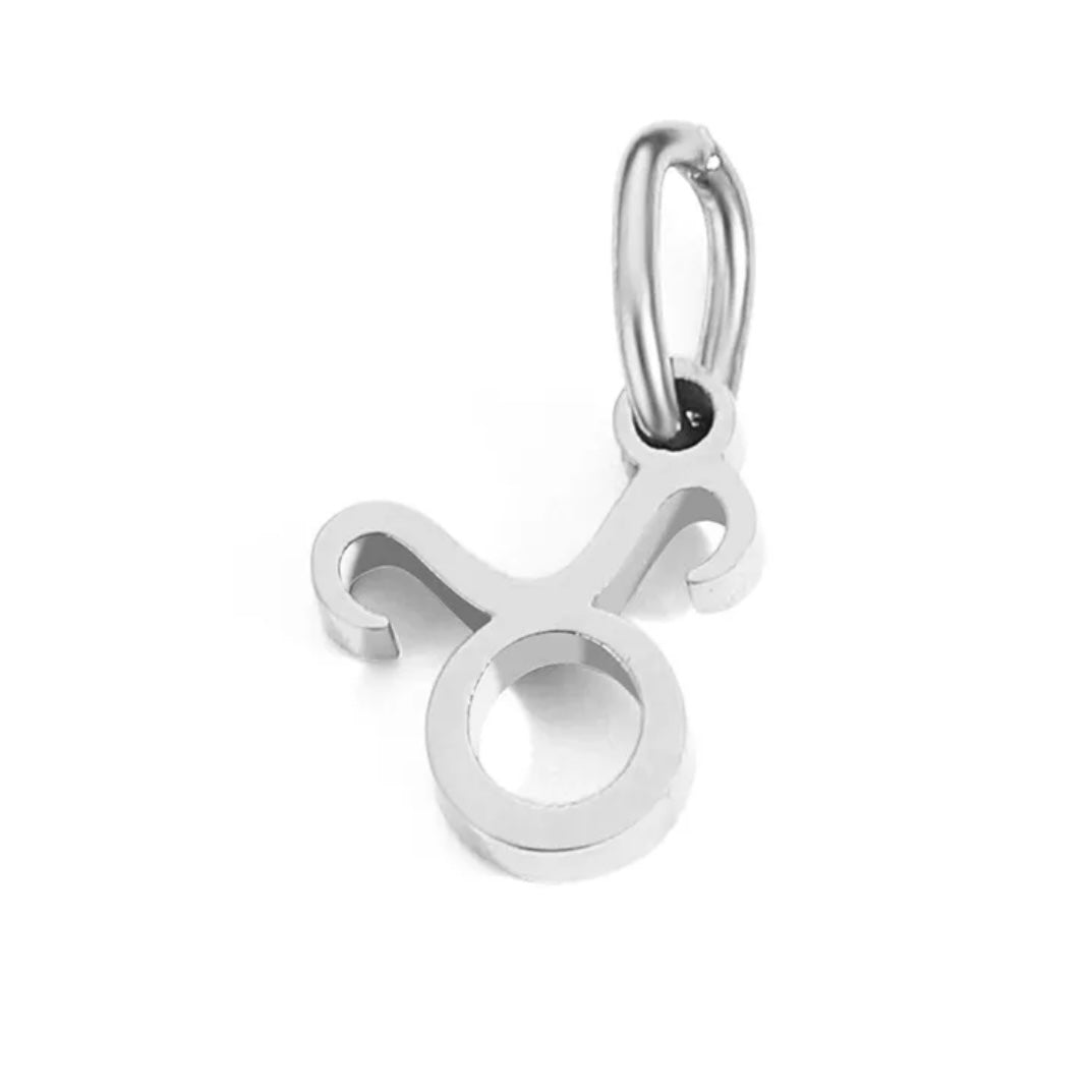 Astrology silver charm