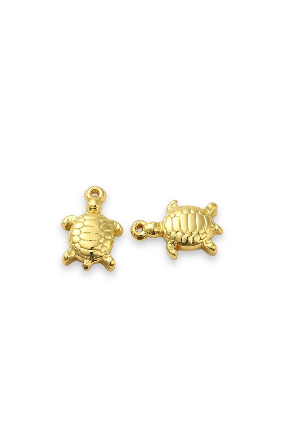 Tortoise charm