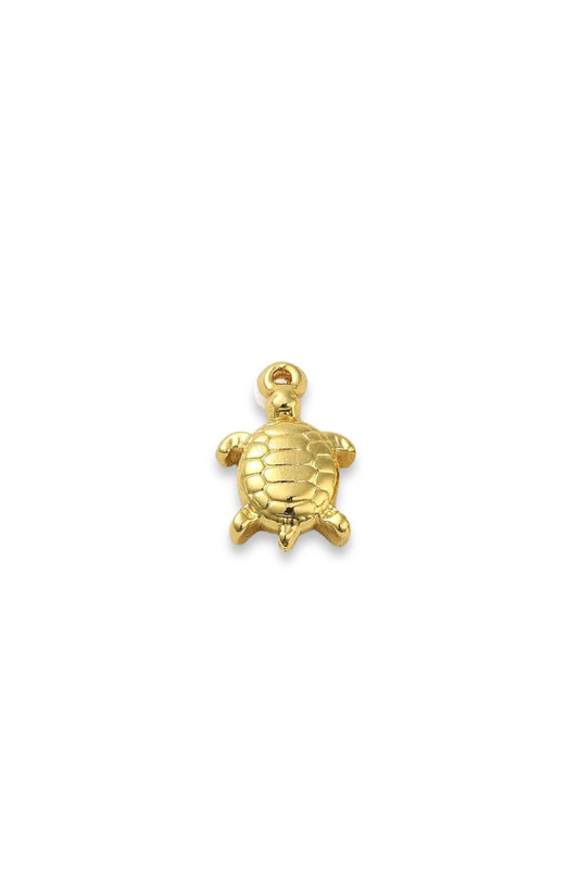 Tortoise charm