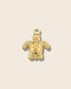 Sea turtle charm