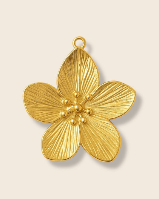 Hibiscus charm
