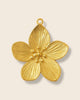 Hibiscus charm