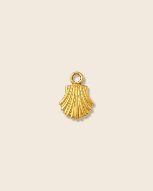Shell charm