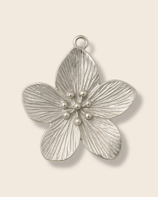 Hibiscus silver charm