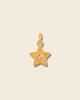 Mini star charm