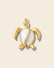 Turtle charm