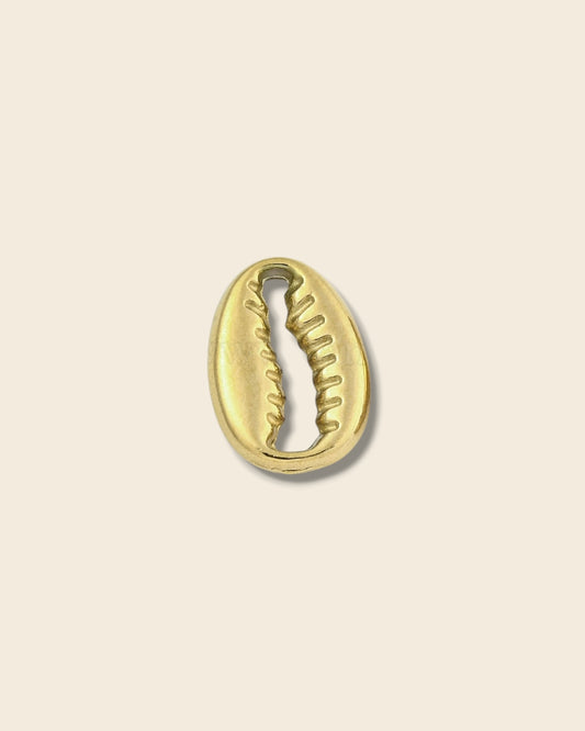 Shell charm